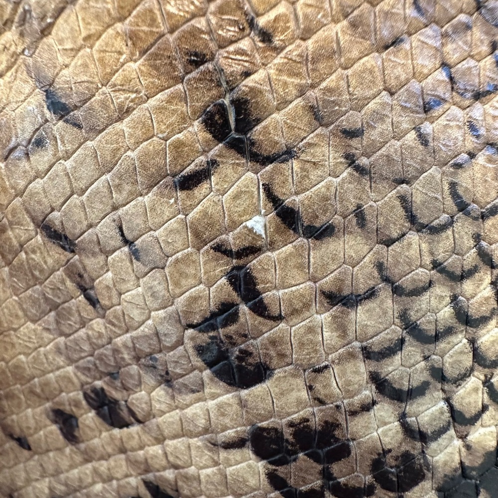 Giuseppe Zanotti Snakeskin Exotic Print Leather Pouch Clutch with Dustbag - Picture 5 of 7